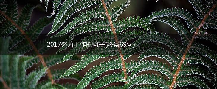2017努力工作的句子(必备69句),第1张
