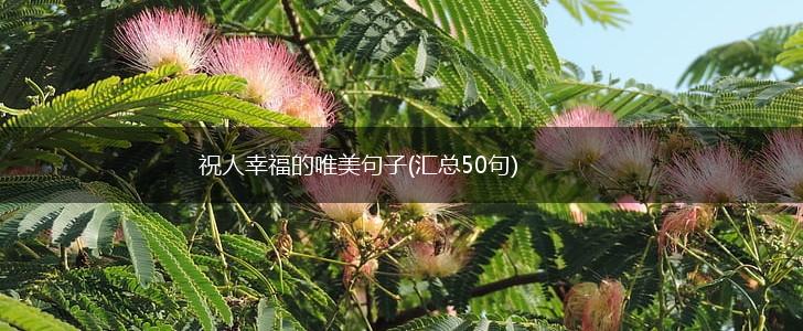 祝人幸福的唯美句子(汇总50句),第1张