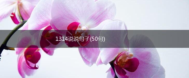 1314说说句子(50句),第1张