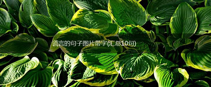 谎言的句子图片带字(汇总10句),第1张