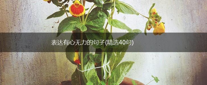 表达有心无力的句子(精选40句),第1张