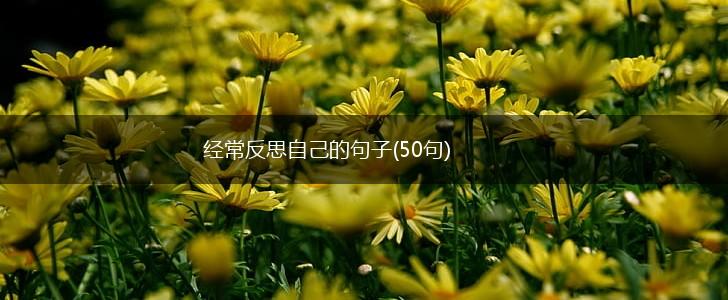 经常反思自己的句子(50句),第1张