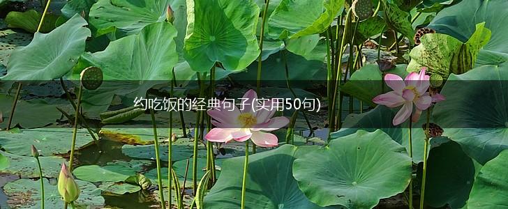 约吃饭的经典句子(实用50句),第1张