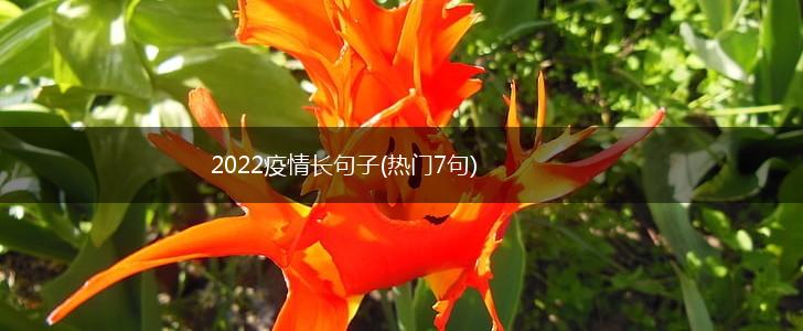 2022疫情长句子(热门7句),第1张