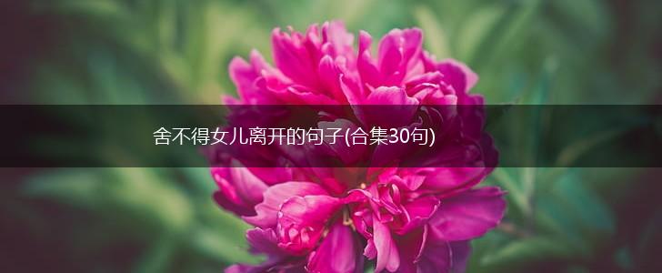 舍不得女儿离开的句子(合集30句),第1张