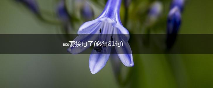 as要接句子(必备81句),第1张