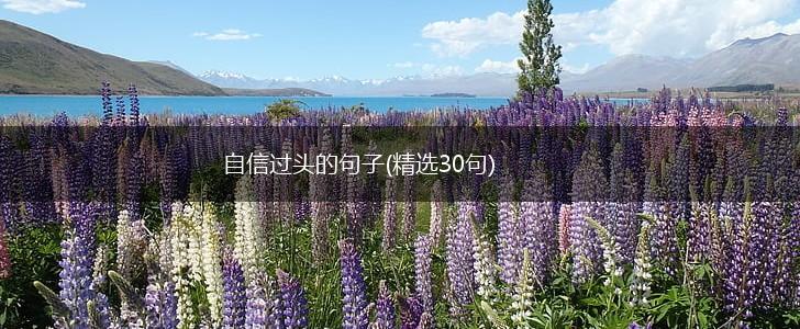 自信过头的句子(精选30句),第1张