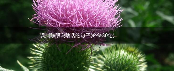 讽刺睁眼说瞎话的句子(必备30句),第1张