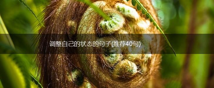 调整自己的状态的句子(推荐40句),第1张