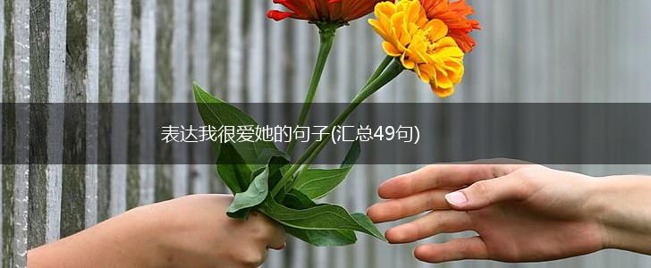 表达我很爱她的句子(汇总49句),第1张