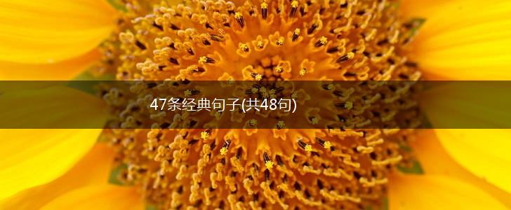 47条经典句子(共48句),第1张