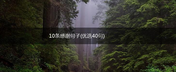 10条感谢句子(优选40句),第1张