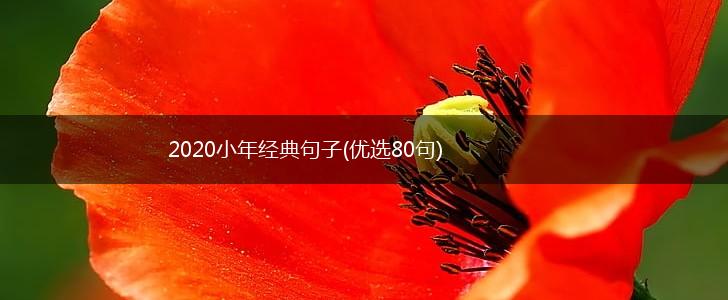 2020小年经典句子(优选80句),第1张