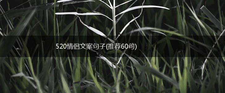520情侣文案句子(推荐60句),第1张