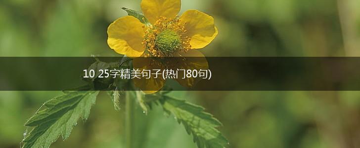 10 25字精美句子(热门80句),第1张