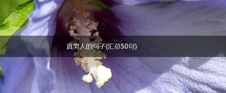真男人的句子(汇总50句),第1张