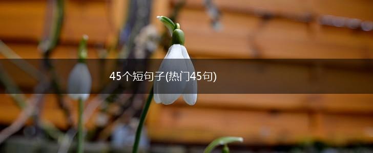 45个短句子(热门45句),第1张