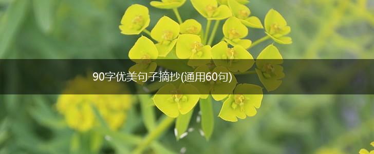 90字优美句子摘抄(通用60句),第1张