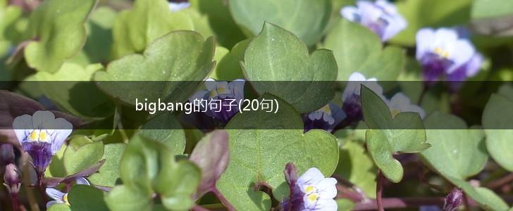 bigbang的句子(20句),第1张