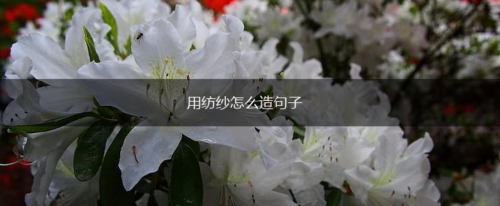 用纺纱怎么造句子,第1张