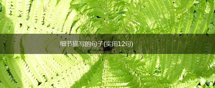 细节描写的句子(实用12句),第1张