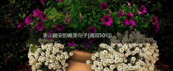 表示晚安的唯美句子(通用50句),第1张
