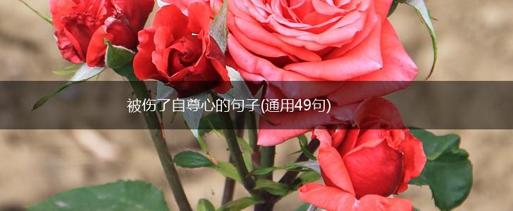 被伤了自尊心的句子(通用49句),第1张