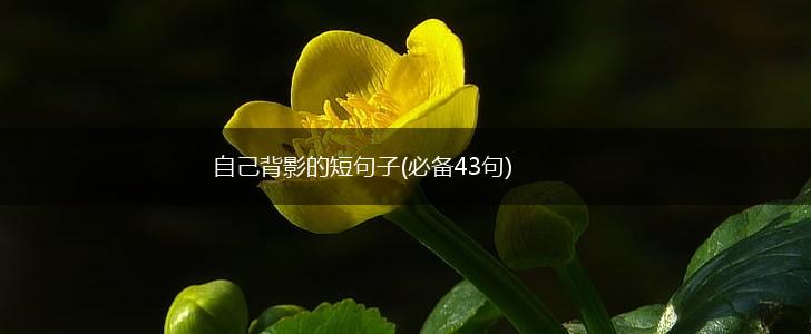 自己背影的短句子(必备43句),第1张
