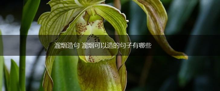 溜烟造句 溜烟可以造的句子有哪些,第1张