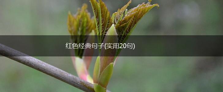 红色经典句子(实用20句),第1张