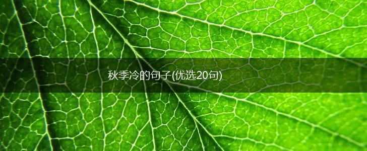 秋季冷的句子(优选20句),第1张