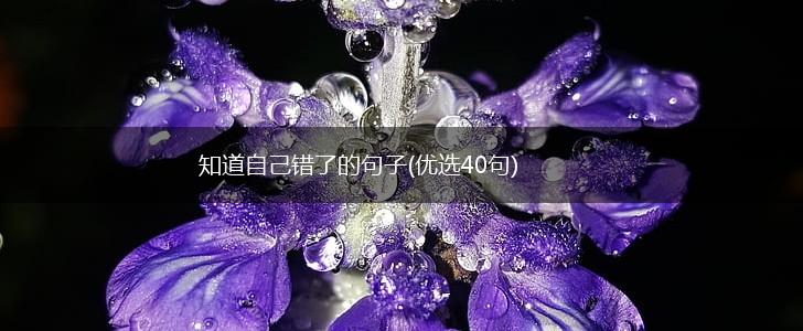 知道自己错了的句子(优选40句),第1张