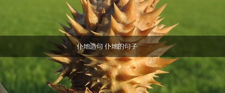 仆地造句 仆地的句子,第1张