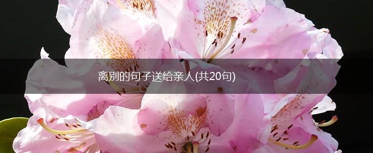 离别的句子送给亲人(共20句),第1张