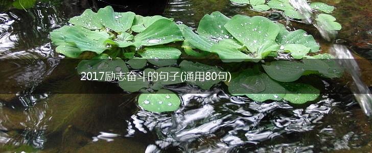 2017励志奋斗的句子(通用80句),第1张
