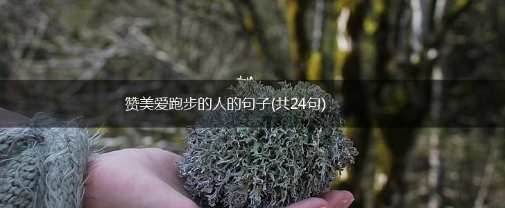 赞美爱跑步的人的句子(共24句),第1张