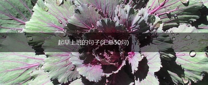 起早上班的句子(汇总50句),第1张
