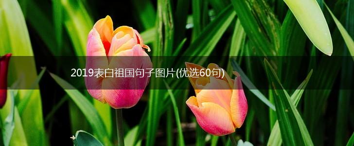 2019表白祖国句子图片(优选60句),第1张