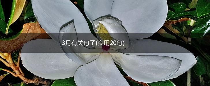 3月有关句子(实用20句),第1张