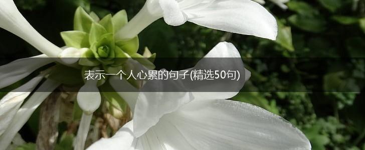 表示一个人心累的句子(精选50句),第1张