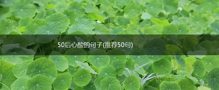 50后心酸的句子(推荐50句),第1张