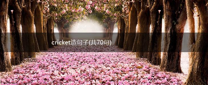 cricket造句子(共70句),第1张