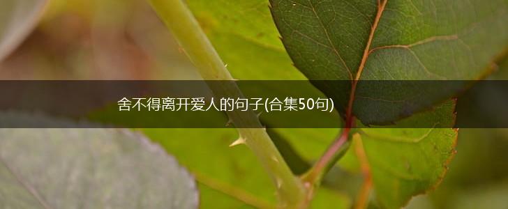 舍不得离开爱人的句子(合集50句),第1张