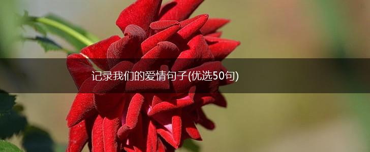 记录我们的爱情句子(优选50句),第1张