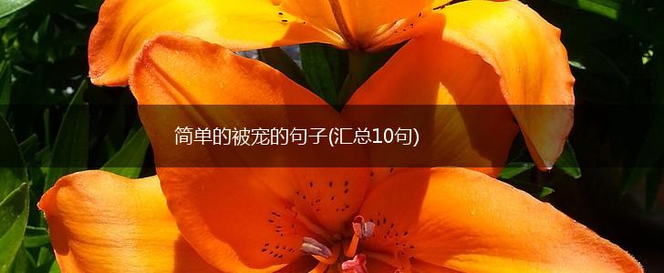 简单的被宠的句子(汇总10句),第1张