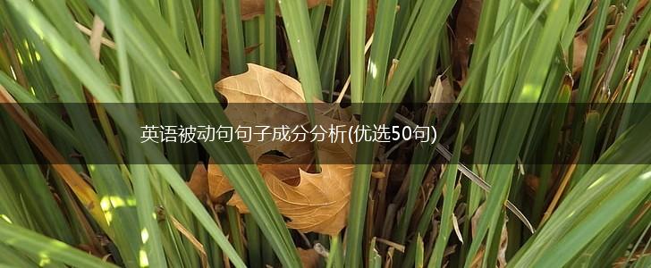 英语被动句句子成分分析(优选50句),第1张