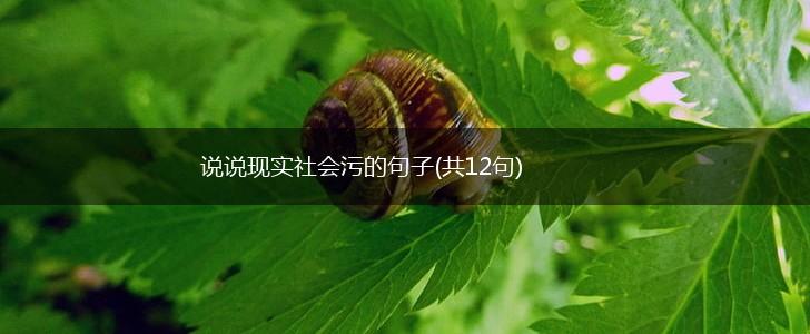 说说现实社会污的句子(共12句),第1张