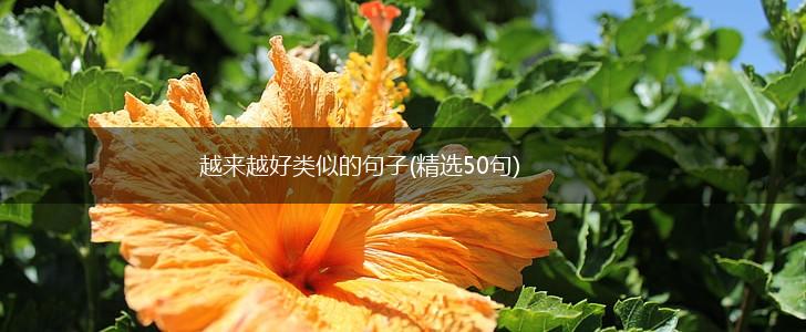 越来越好类似的句子(精选50句),第1张