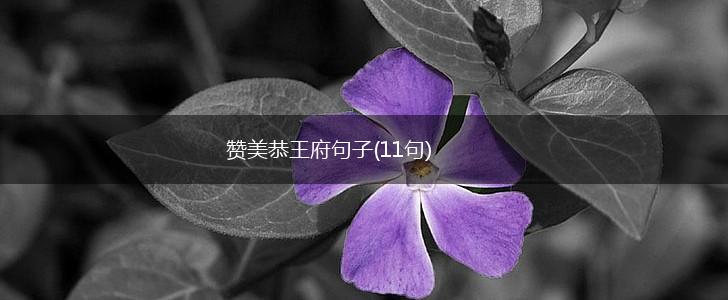 赞美恭王府句子(11句),第1张