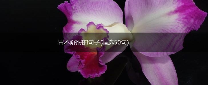胃不舒服的句子(精选50句),第1张